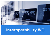 Interconnection Validation WG